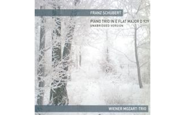 Schubert Es-Dur Trio Originalversion-31
