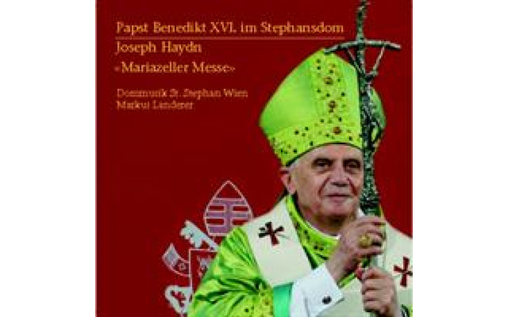 Papst Messe im Stephansdom-31