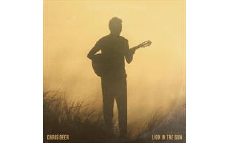 Lion in the sun Chris Beer-30