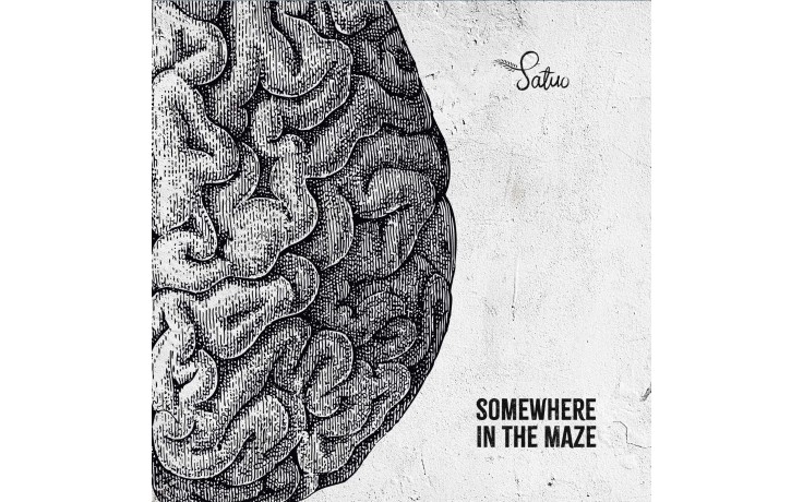 Somewhere in the maze Vinyl Satuo-31