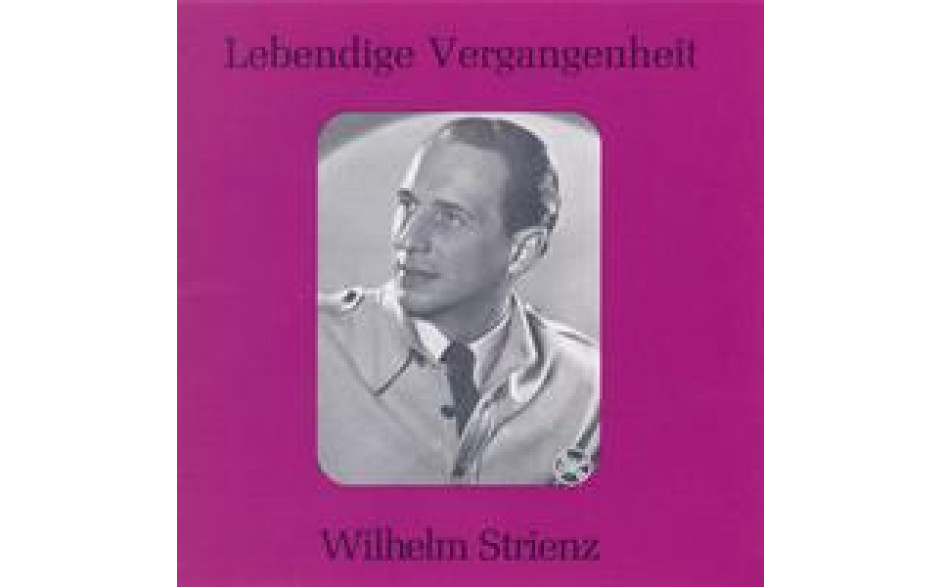 Wilhelm Strienz-31