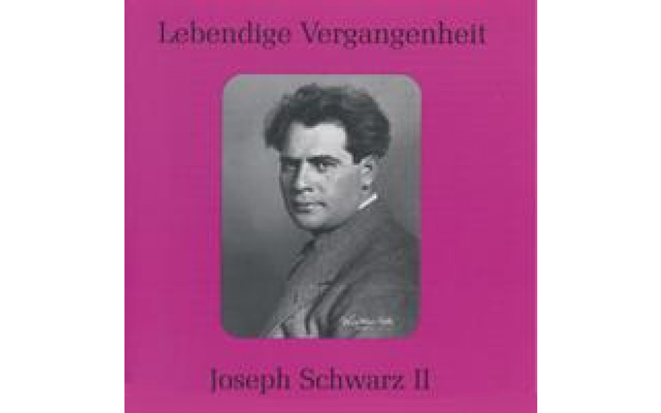 Joseph Schwarz Vol 2-31