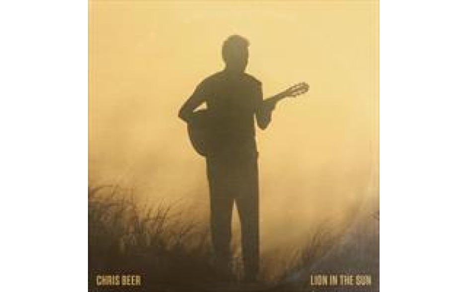 Lion in the sun Chris Beer-30