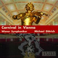 Carnival in Vienna-21