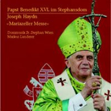 Papst Messe im Stephansdom-21