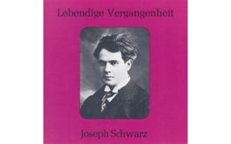 Joseph Schwarz-31