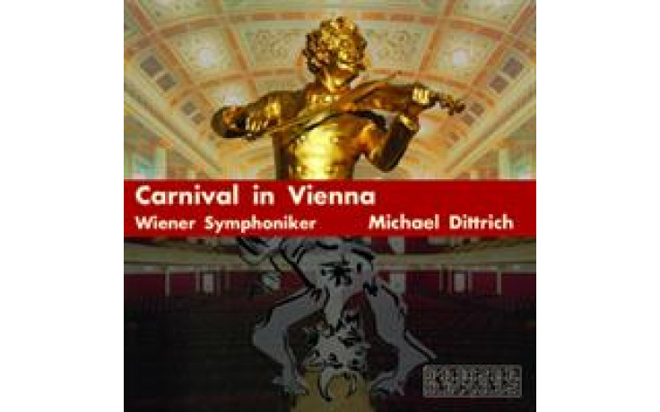 Carnival in Vienna-31