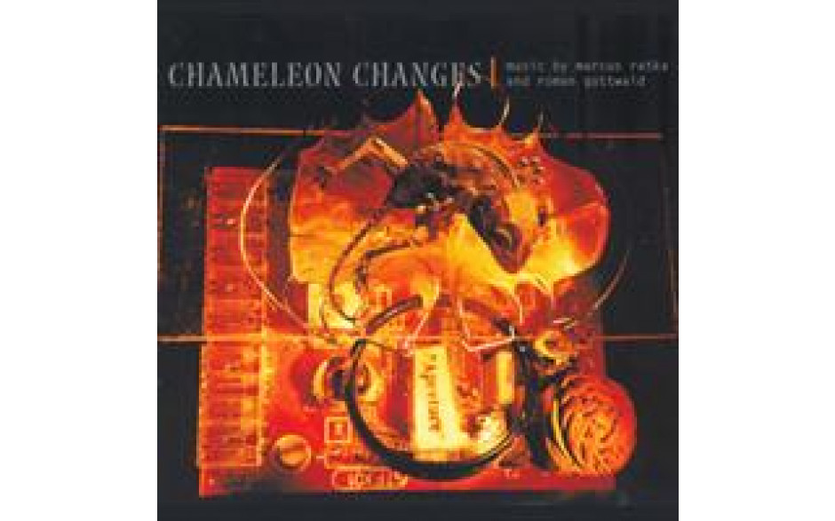 Chameleon Changes-31