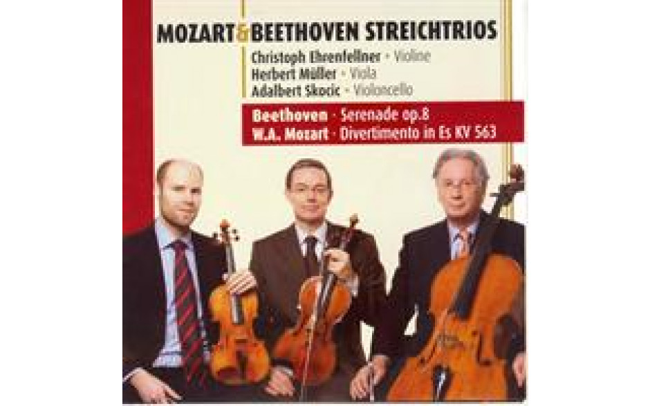 Mozart and Beethoven Streichtrios-31
